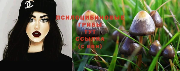 таблы Горнозаводск
